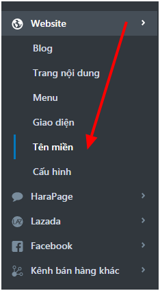 quan-ly-ten-mien-fpt-01